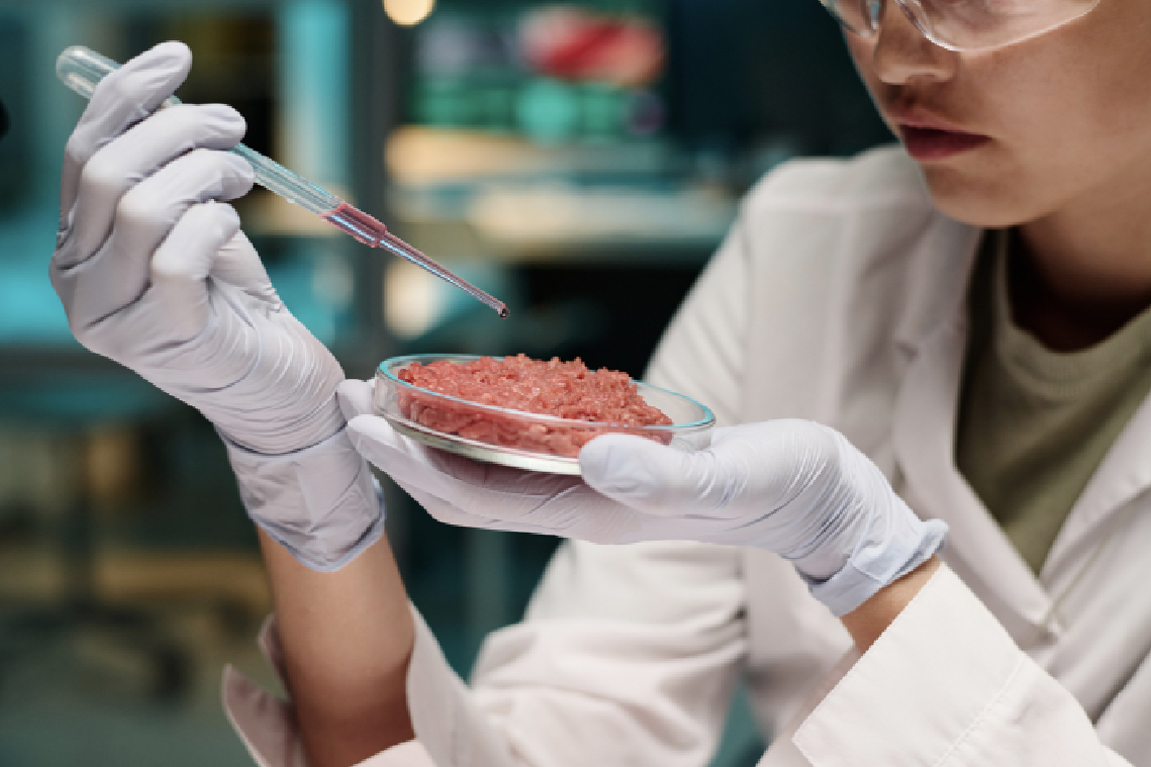 Food Safety LAMP Testing