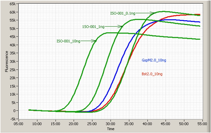 ISO-004 GspSSD2.0 LAMP Mastermix