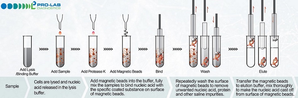 Pro-Mag™ NPA-32 — lysis, bind, wash, elute vial workflow